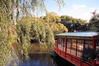 神泉苑の紅葉風景