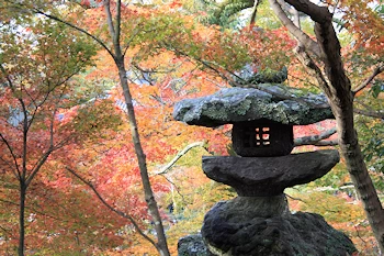 永観堂の紅葉風景