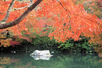 永観堂の紅葉風景