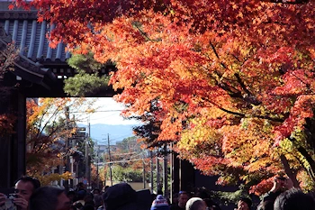 永観堂の紅葉風景