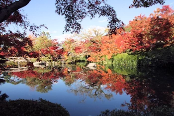 永観堂の紅葉風景