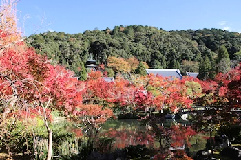 永観堂の紅葉風景