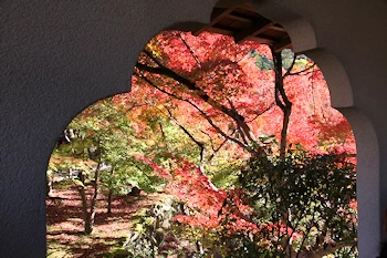 永観堂の紅葉風景