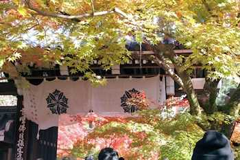 永観堂の紅葉風景