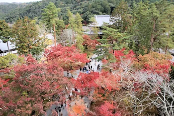南禅寺の紅葉風景