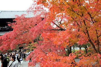 南禅寺の紅葉風景