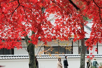 南禅寺の紅葉風景