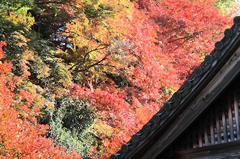 南禅寺の紅葉風景