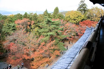 南禅寺の紅葉風景