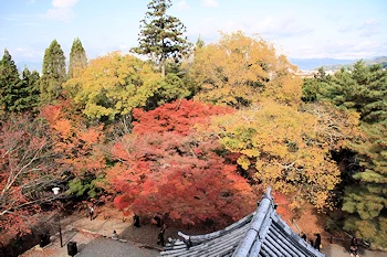 南禅寺の紅葉風景