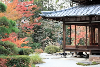 南禅寺の紅葉風景