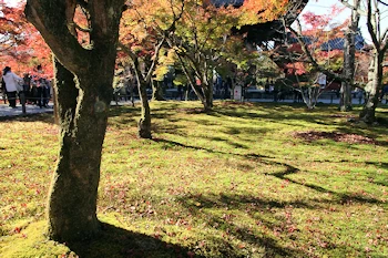 南禅寺の紅葉風景