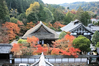 南禅寺の紅葉風景