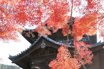 南禅寺の紅葉風景