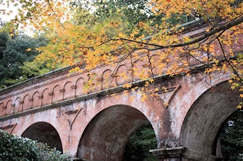 南禅寺の紅葉風景