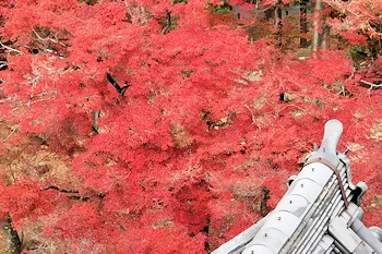 南禅寺の紅葉風景