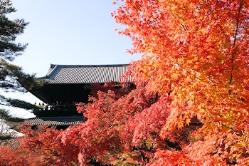南禅寺の紅葉風景