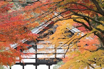 南禅寺の紅葉風景