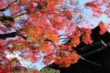 南禅寺の紅葉風景