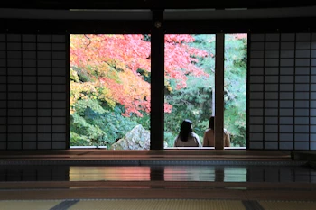 南禅院の紅葉風景