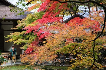 南禅院の紅葉風景