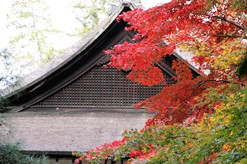南禅院の紅葉風景