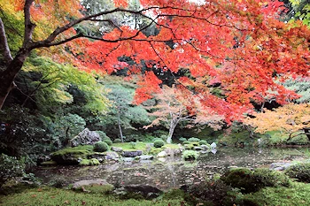 南禅院の紅葉風景