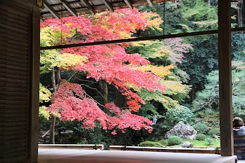 南禅院の紅葉風景