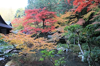 南禅院の紅葉風景