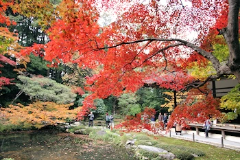 南禅院の紅葉風景