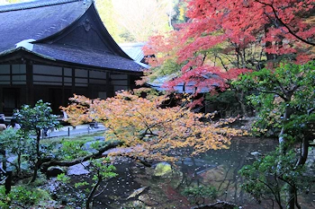 南禅院の紅葉風景