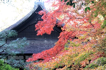 南禅院の紅葉風景