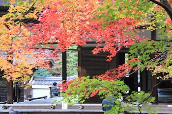 南禅院の紅葉風景