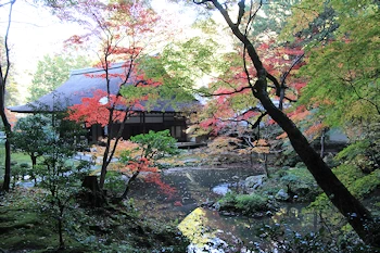 南禅院の紅葉風景