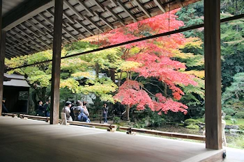 南禅院の紅葉風景