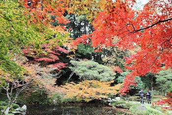 南禅院の紅葉風景