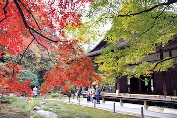 南禅院の紅葉風景