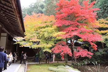 南禅院の紅葉風景