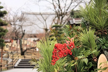 智積院の紅葉風景