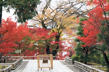 智積院の紅葉風景