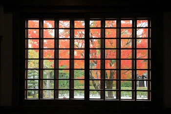 智積院の紅葉風景