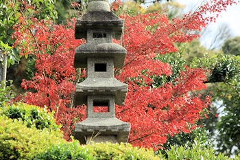 智積院の紅葉風景