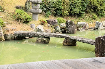 智積院の紅葉風景