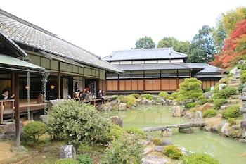 智積院の紅葉風景