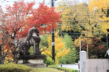 智積院の紅葉風景