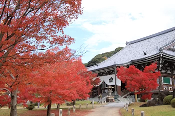 智積院の紅葉風景