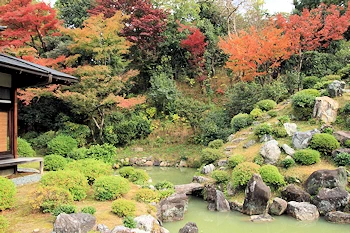 智積院の紅葉風景
