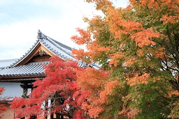 智積院の紅葉風景