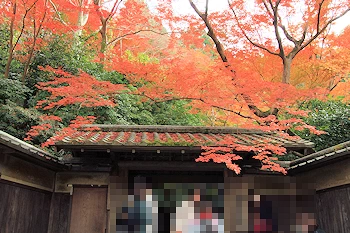 瑠璃光院の紅葉風景