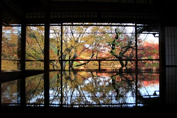 瑠璃光院の紅葉風景